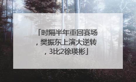 时隔半年重回赛场，樊振东上演大逆转，3比2徐瑛彬