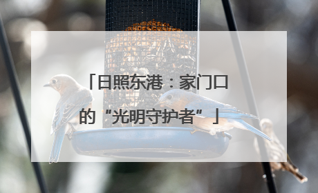 日照东港：家门口的“光明守护者”
