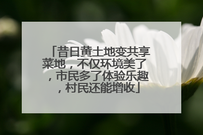 昔日黄土地变共享菜地，不仅环境美了，市民多了体验乐趣，村民还能增收