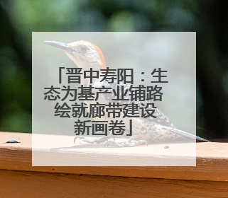 晋中寿阳：生态为基产业铺路 绘就廊带建设新画卷
