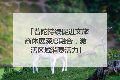 普陀持续促进文旅商体展深度融合，激活区域消费活力