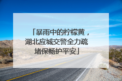暴雨中的柠檬黄，湖北应城交警全力疏堵保畅护平安
