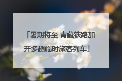 暑期将至 青藏铁路加开多趟临时旅客列车