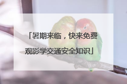 暑期来临，快来免费观影学交通安全知识