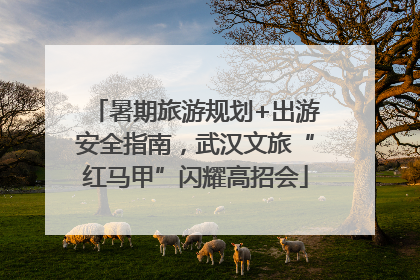 暑期旅游规划+出游安全指南，武汉文旅“红马甲”闪耀高招会