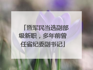 暨军民当选副部级新职，多年前曾任省纪委副书记