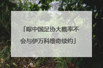 曝中国足协大概率不会与伊万科维奇续约