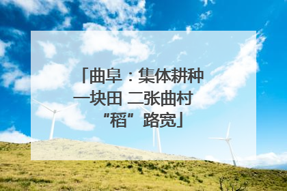 曲阜：集体耕种一块田 二张曲村“稻”路宽