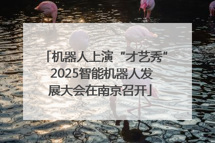 机器人上演“才艺秀” 2025智能机器人发展大会在南京召开