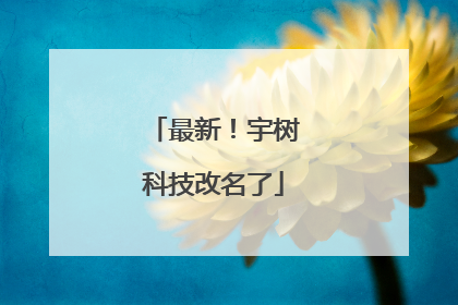 最新！宇树科技改名了