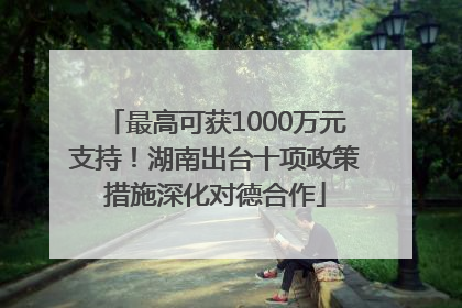 最高可获1000万元支持！湖南出台十项政策措施深化对德合作