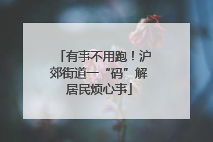 有事不用跑！沪郊街道一“码”解居民烦心事
