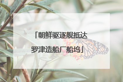 朝鲜驱逐舰抵达罗津造船厂船坞