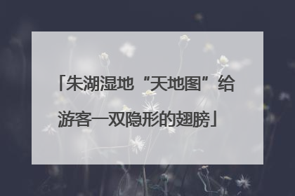 朱湖湿地“天地图”给游客一双隐形的翅膀