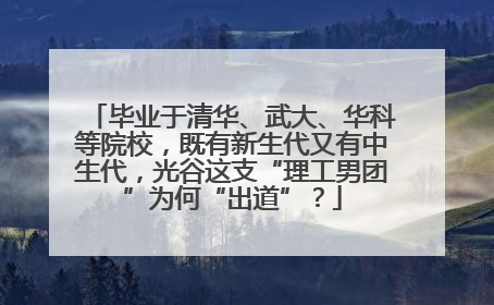毕业于清华、武大、华科等院校，既有新生代又有中生代，光谷这支“理工男团”为何“出道”？