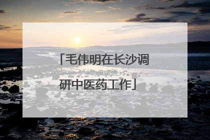 毛伟明在长沙调研中医药工作