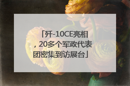 歼-10CE亮相，20多个军政代表团密集到访展台