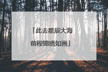 此去星辰大海 前程锦绣如画