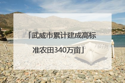 武威市累计建成高标准农田340万亩