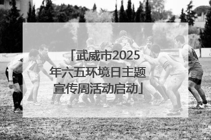 武威市2025年六五环境日主题宣传周活动启动