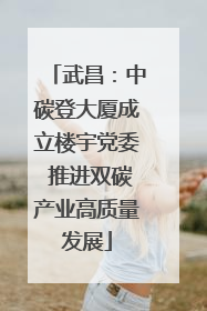 武昌：中碳登大厦成立楼宇党委 推进双碳产业高质量发展