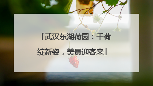 武汉东湖荷园：千荷绽新姿，美景迎客来