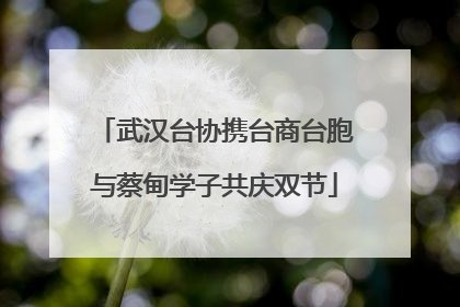 武汉台协携台商台胞与蔡甸学子共庆双节