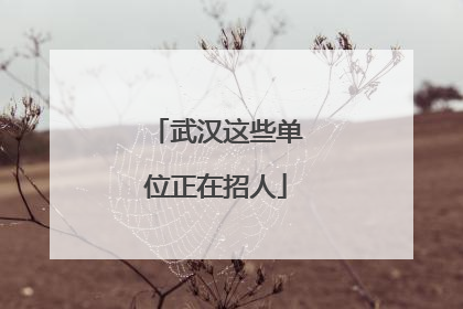 武汉这些单位正在招人