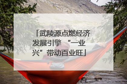 武陵源点燃经济发展引擎 “一业兴”带动百业旺