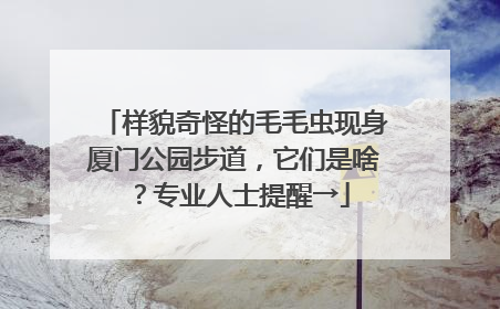 样貌奇怪的毛毛虫现身厦门公园步道，它们是啥？专业人士提醒→