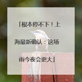 根本停不下！上海最新确认：这场雨今夜会更大