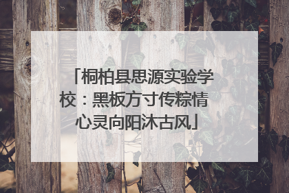 桐柏县思源实验学校：黑板方寸传粽情 心灵向阳沐古风