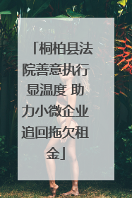 桐柏县法院善意执行显温度 助力小微企业追回拖欠租金