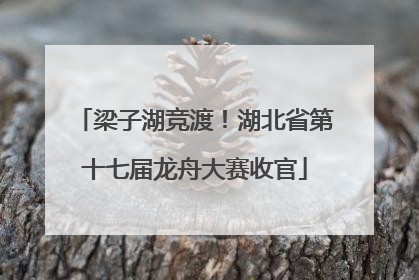 梁子湖竞渡！湖北省第十七届龙舟大赛收官