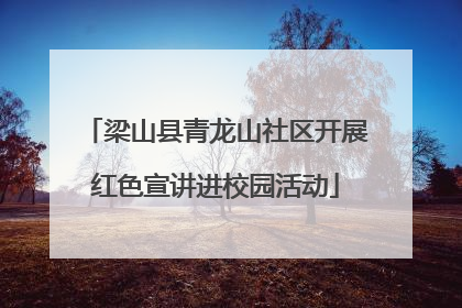 梁山县青龙山社区开展红色宣讲进校园活动