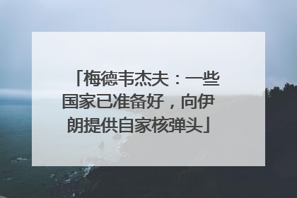 梅德韦杰夫：一些国家已准备好，向伊朗提供自家核弹头