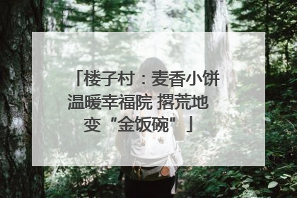 楼子村：麦香小饼温暖幸福院 撂荒地变“金饭碗”