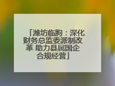 潍坊临朐：深化财务总监委派制改革 助力县属国企合规经营