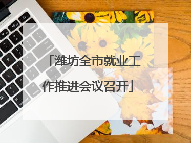 潍坊全市就业工作推进会议召开