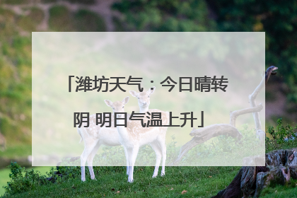 潍坊天气：今日晴转阴 明日气温上升