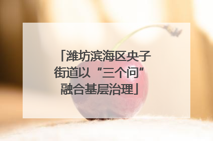 潍坊滨海区央子街道以“三个问”融合基层治理