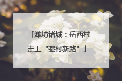 潍坊诸城：岳西村走上“强村新路”