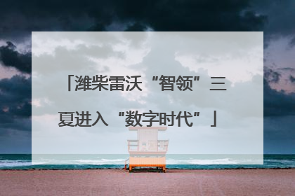 潍柴雷沃“智领”三夏进入“数字时代”
