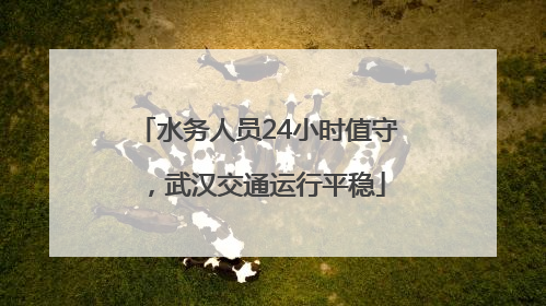 水务人员24小时值守，武汉交通运行平稳