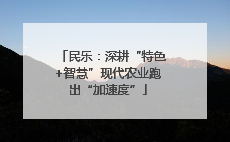 民乐：深耕“特色+智慧”现代农业跑出“加速度”