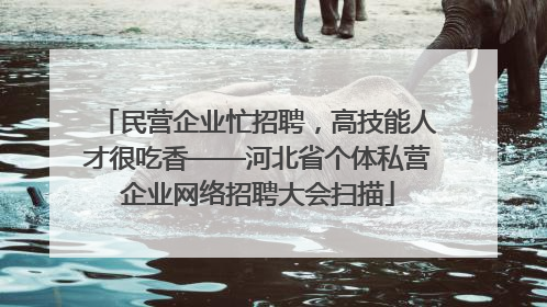 民营企业忙招聘，高技能人才很吃香——河北省个体私营企业网络招聘大会扫描