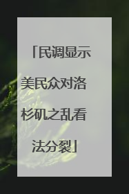 民调显示美民众对洛杉矶之乱看法分裂