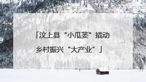 汶上县“小瓜蒌”撬动乡村振兴“大产业”