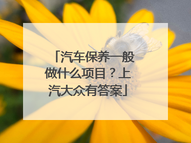 汽车保养一般做什么项目？上汽大众有答案