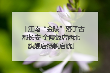 江南“金陵”落子古都长安 金陵饭店西北旗舰店扬帆启航